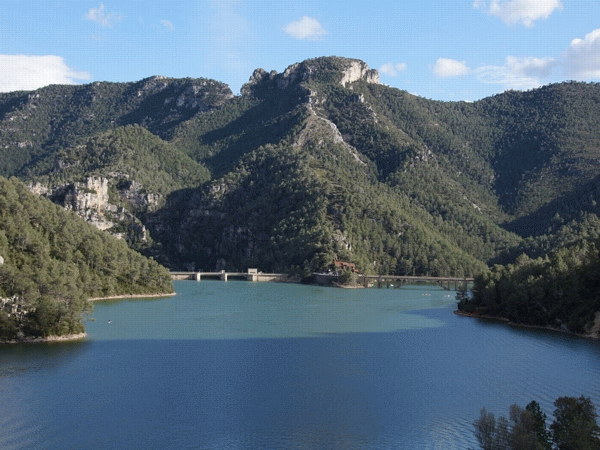 PRESA LENA.gif (49311 bytes)